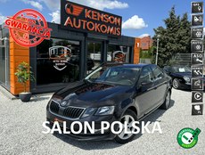 Skoda Octavia Bezwypadkowy 1.6 1.6 D 116 KM Duży dotykowy ekran