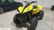Can-Am Renegade inny 0.6